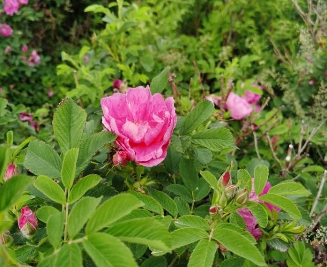 微信零钱明细怎么查询发给谁了（如何调取微信转账交易记录）(1)