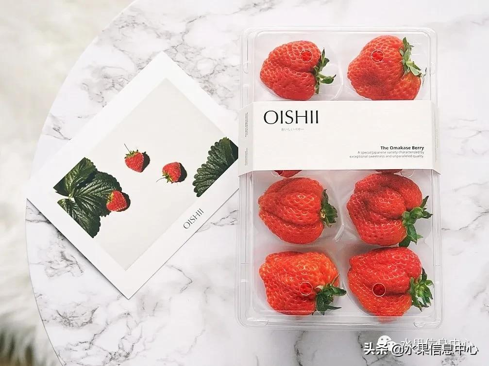 快递草莓怎么包装保鲜（如何解决草莓包装痛点）(1)