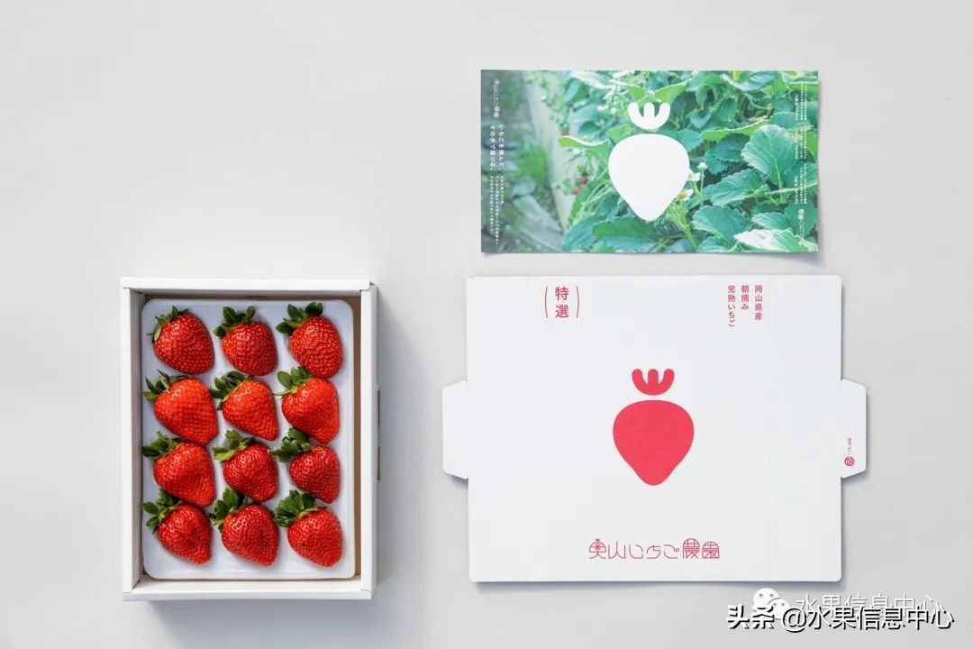 快递草莓怎么包装保鲜（如何解决草莓包装痛点）(2)