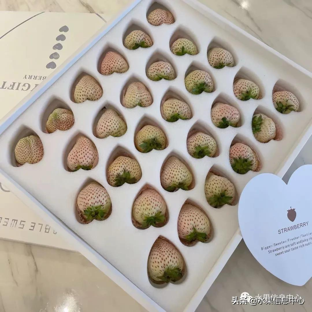快递草莓怎么包装保鲜（如何解决草莓包装痛点）(3)