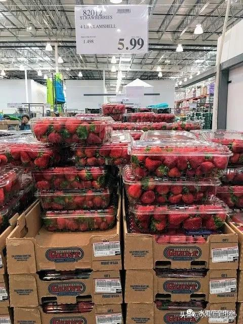 快递草莓怎么包装保鲜（如何解决草莓包装痛点）(10)