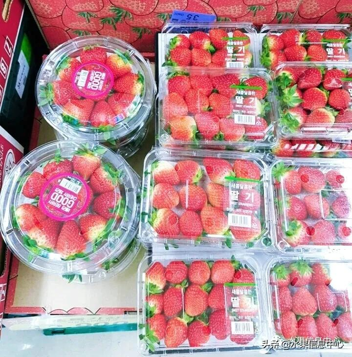 快递草莓怎么包装保鲜（如何解决草莓包装痛点）(11)