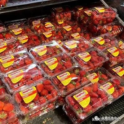 快递草莓怎么包装保鲜（如何解决草莓包装痛点）(12)