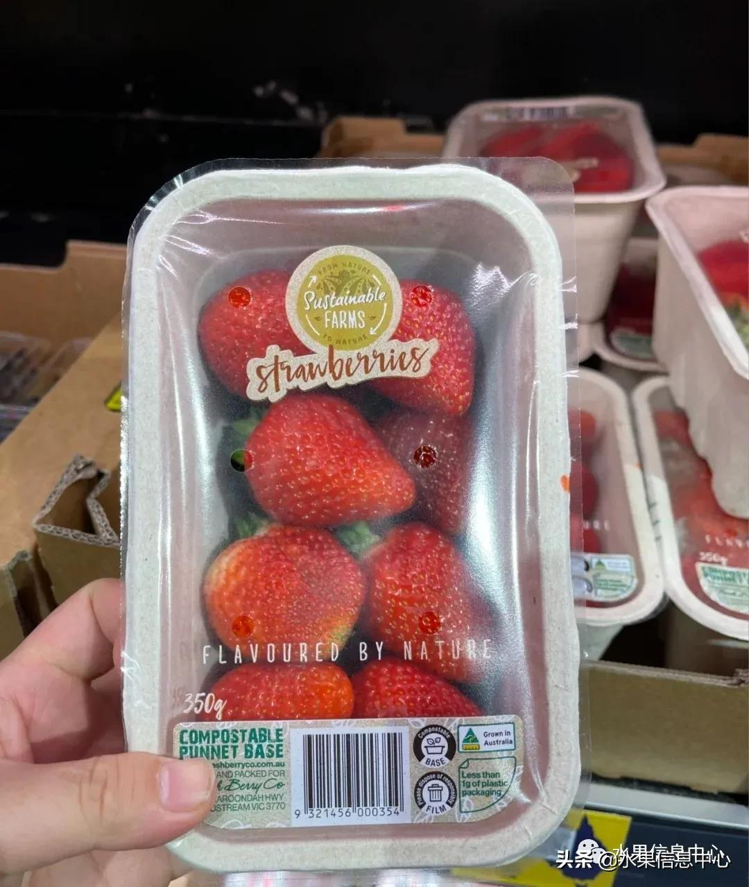 快递草莓怎么包装保鲜（如何解决草莓包装痛点）(13)