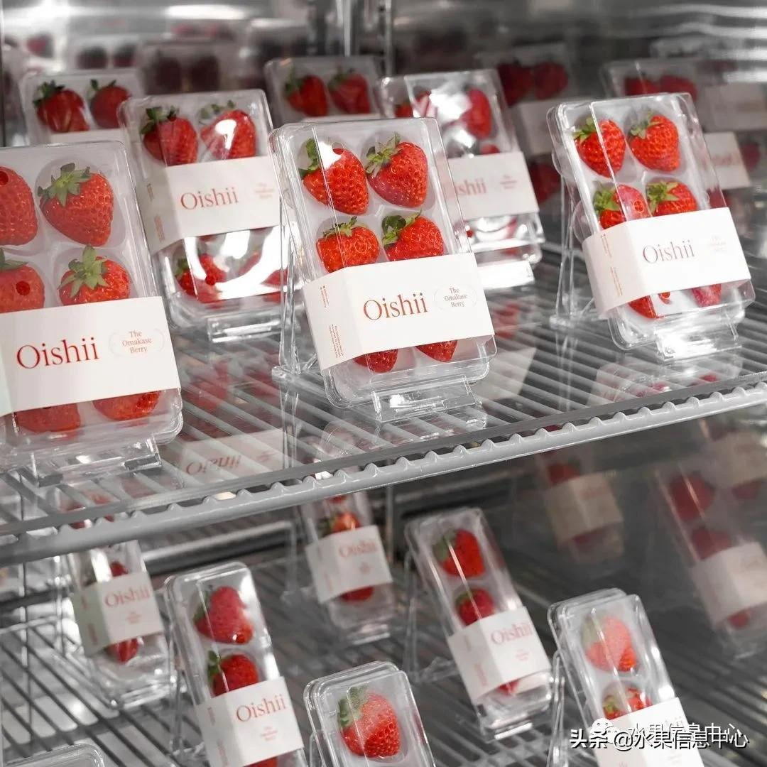 快递草莓怎么包装保鲜（如何解决草莓包装痛点）(14)