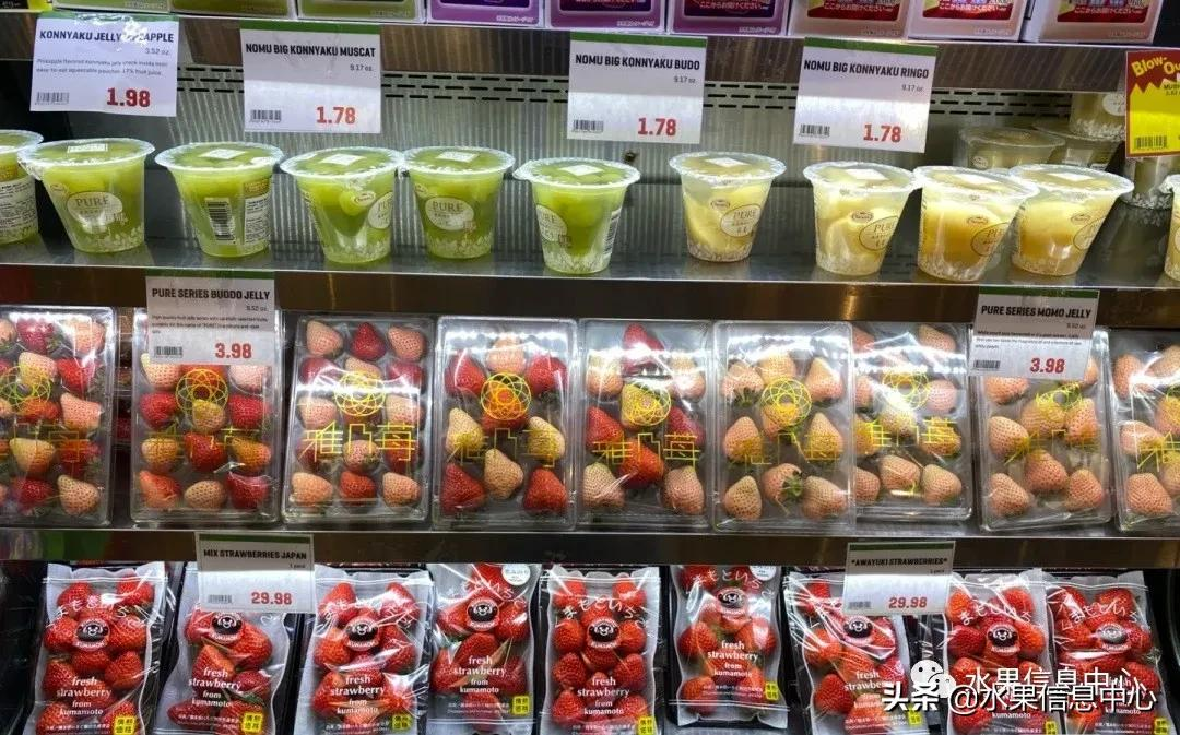 快递草莓怎么包装保鲜（如何解决草莓包装痛点）(15)