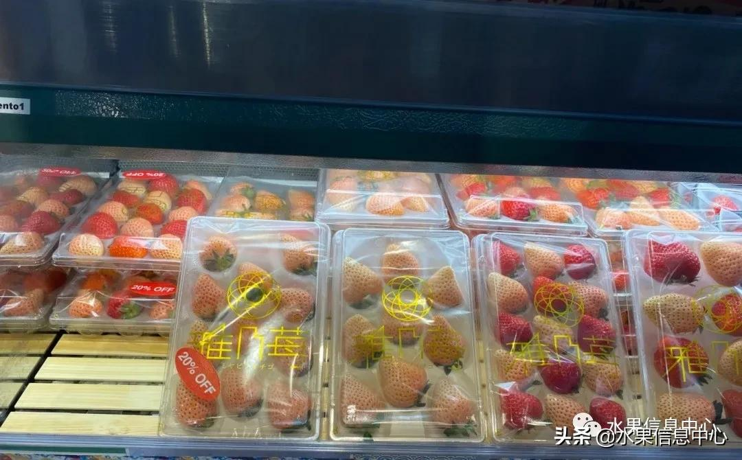 快递草莓怎么包装保鲜（如何解决草莓包装痛点）(16)