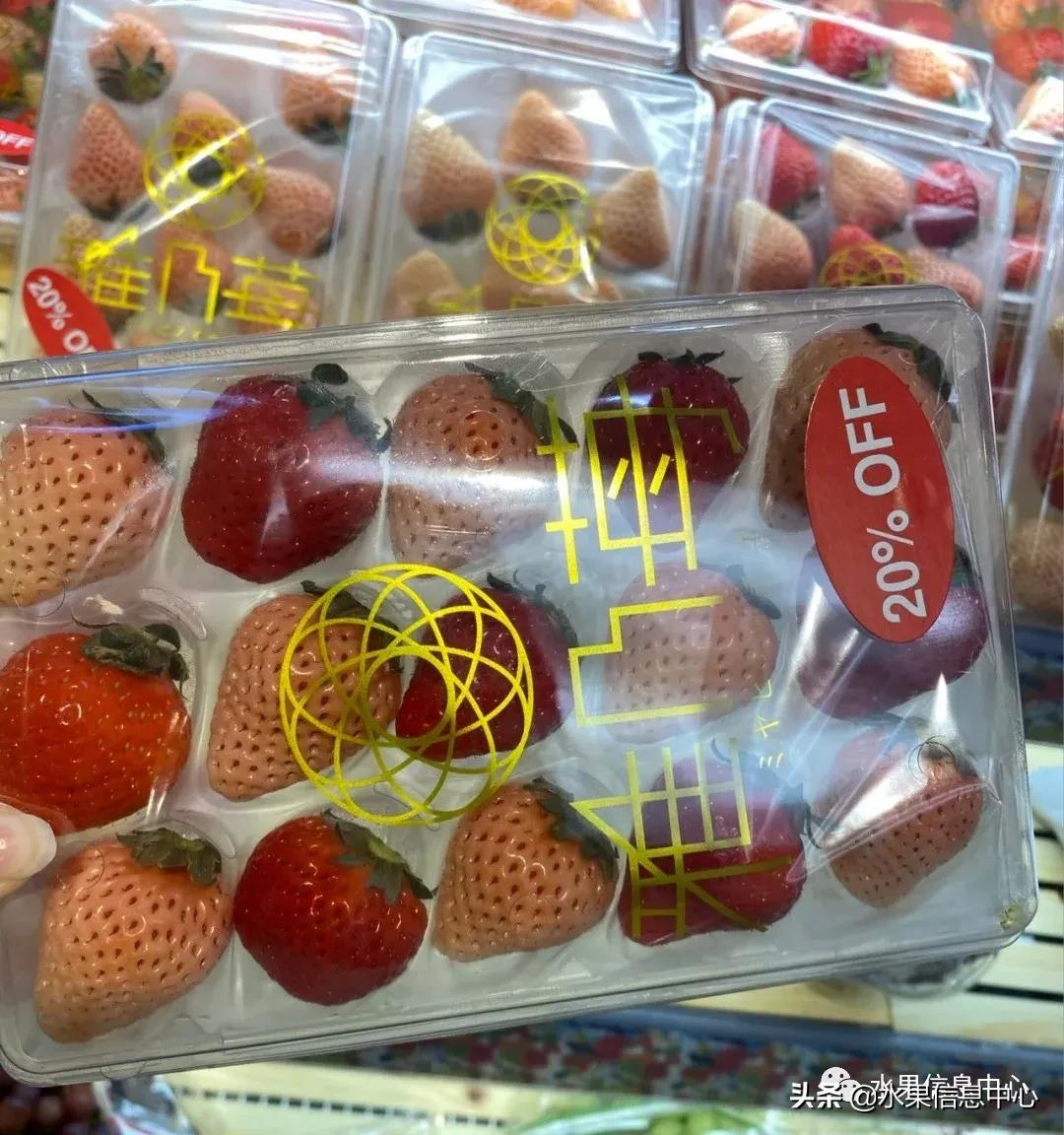 快递草莓怎么包装保鲜（如何解决草莓包装痛点）(17)