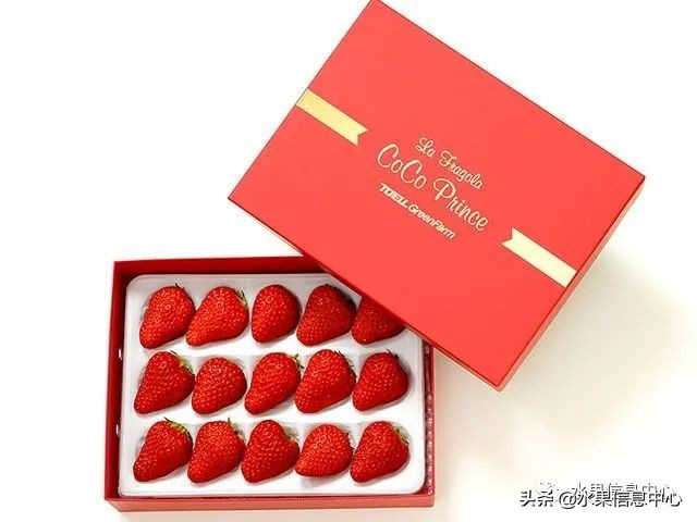 快递草莓怎么包装保鲜（如何解决草莓包装痛点）(18)