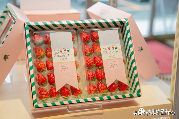 快递草莓怎么包装保鲜（如何解决草莓包装痛点）(21)