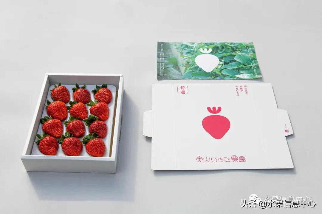 快递草莓怎么包装保鲜（如何解决草莓包装痛点）(22)
