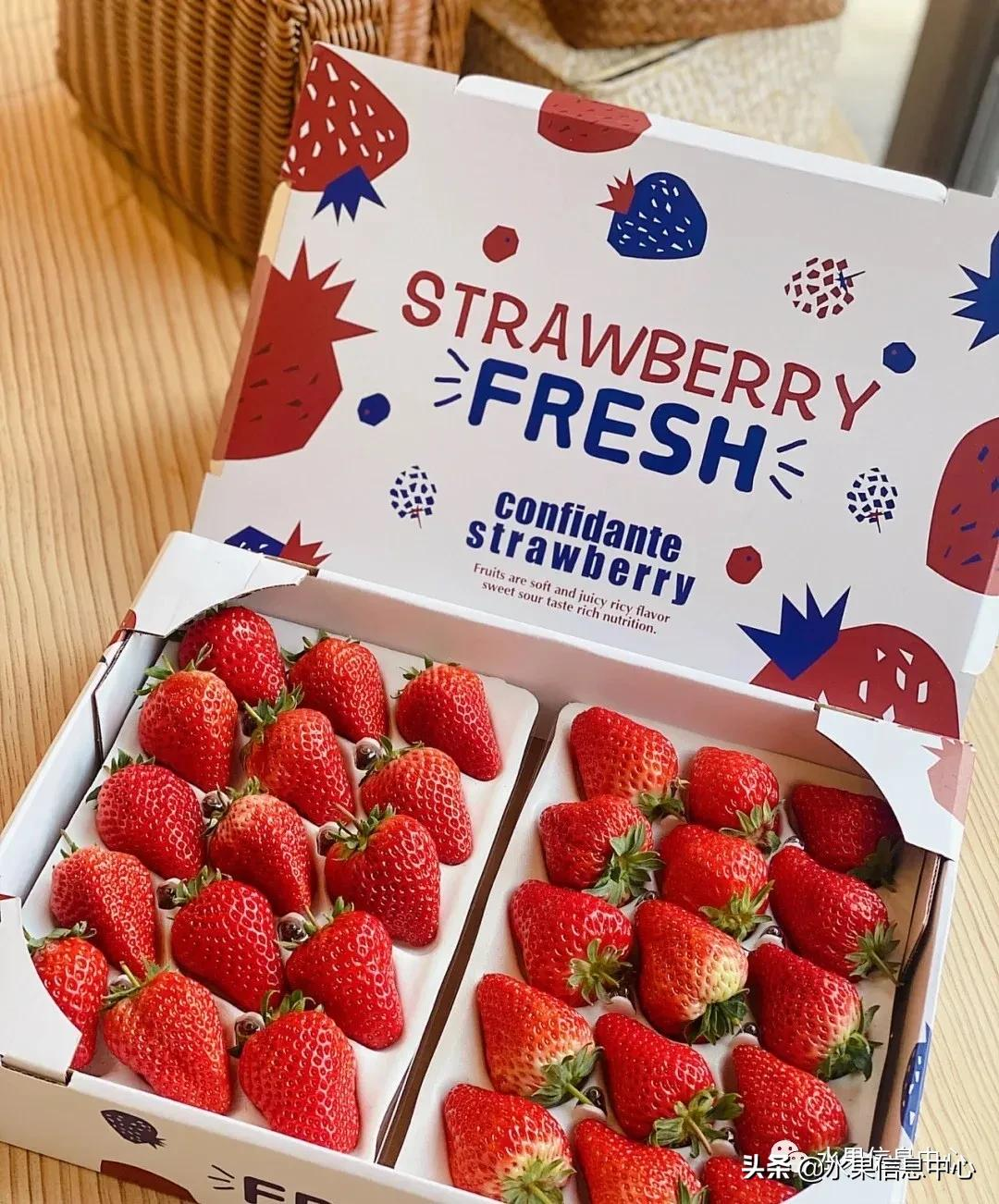 快递草莓怎么包装保鲜（如何解决草莓包装痛点）(23)
