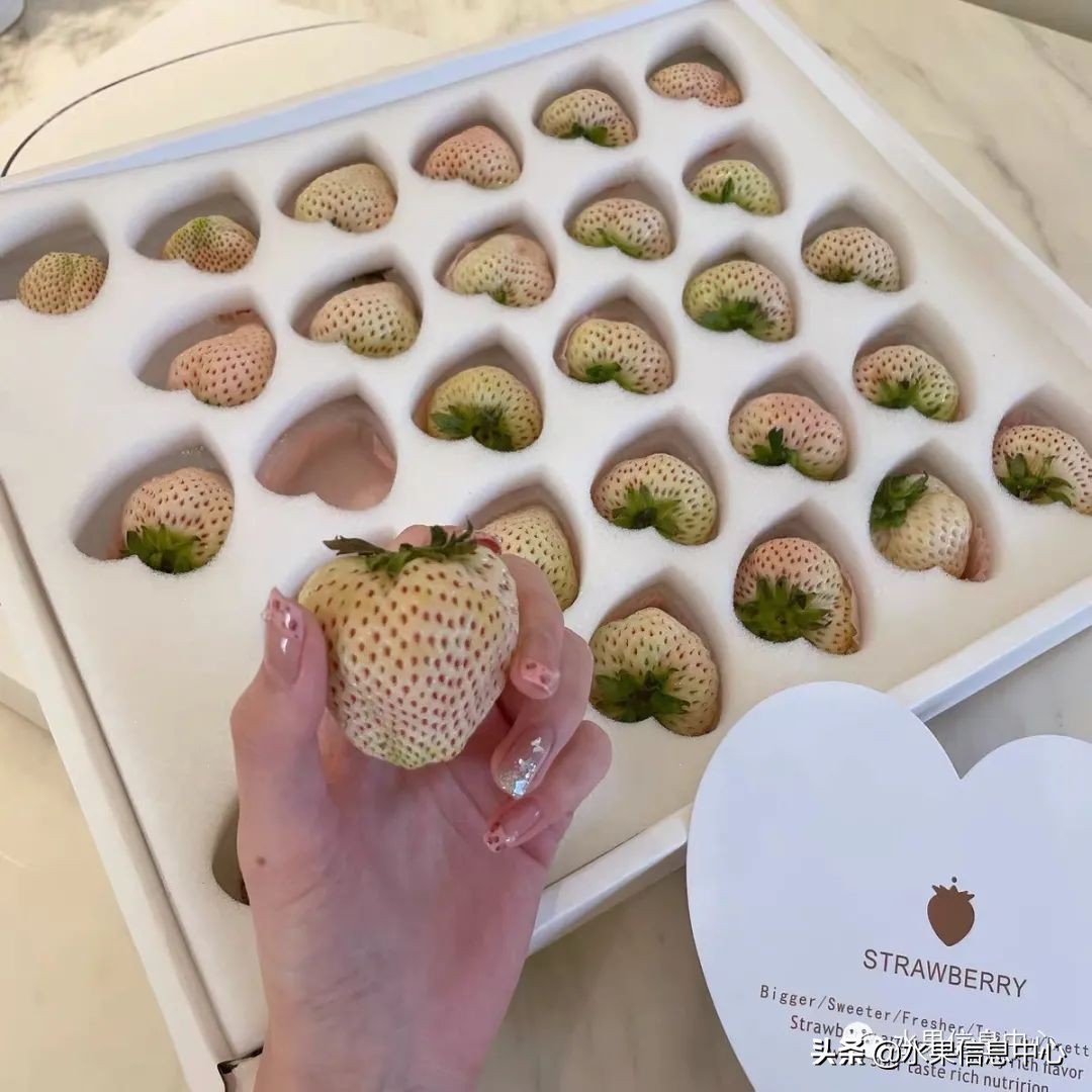 快递草莓怎么包装保鲜（如何解决草莓包装痛点）(26)