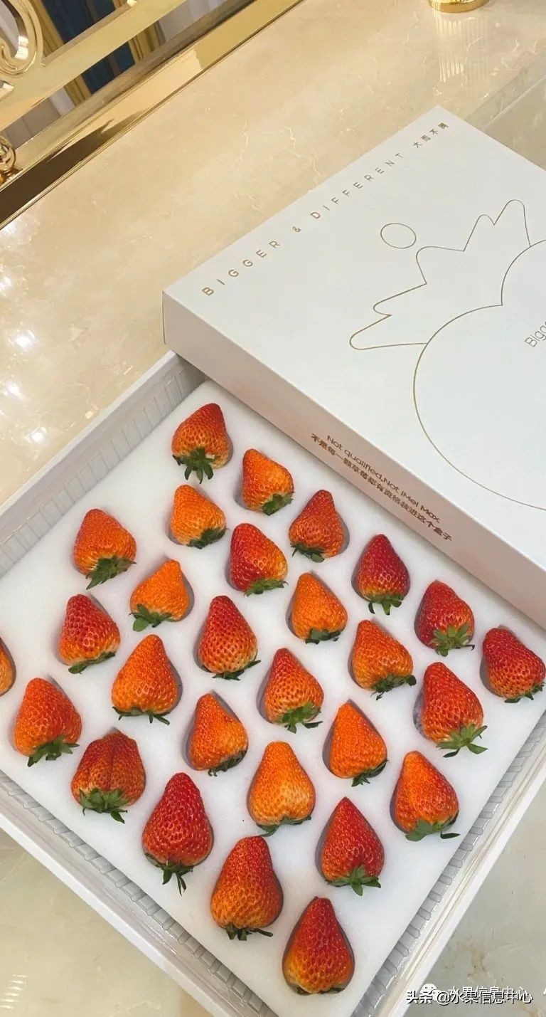 快递草莓怎么包装保鲜（如何解决草莓包装痛点）(25)