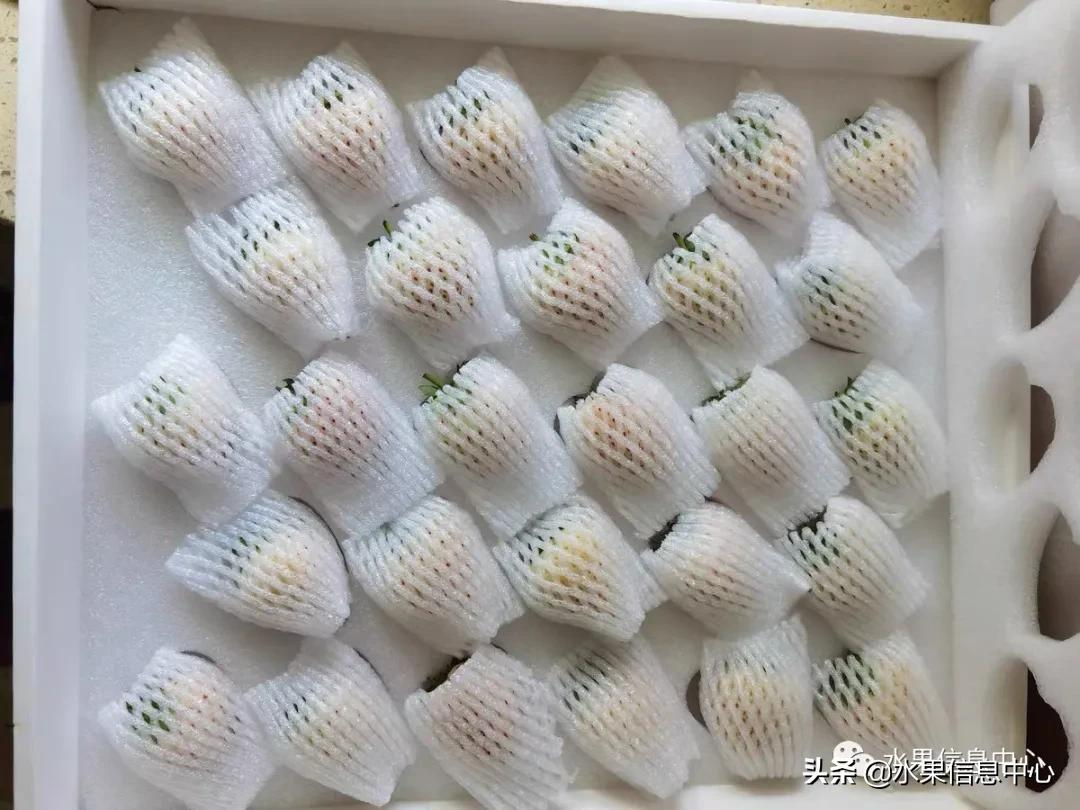 快递草莓怎么包装保鲜（如何解决草莓包装痛点）(27)