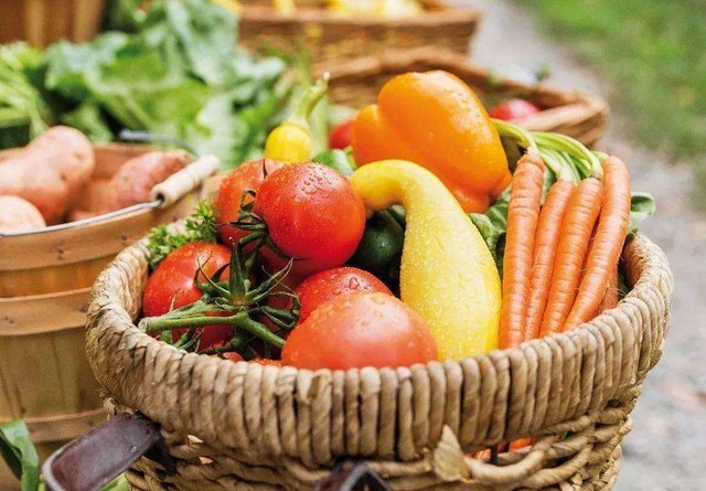 怎么从网上买菜(疫情期间怎样在网上买菜)(2)