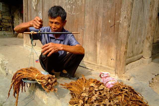批发行业哪生意好做利润高（农民适合做什么生意暴利）(7)