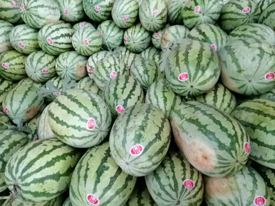 批发西瓜注意事项（做西瓜批发生意怎么跑市场）(3)